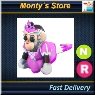 NR PRINCESS CAPUCHIN MONKEY 