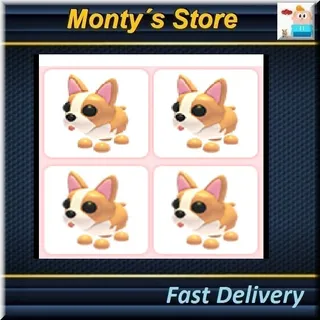 French Bulldog X4