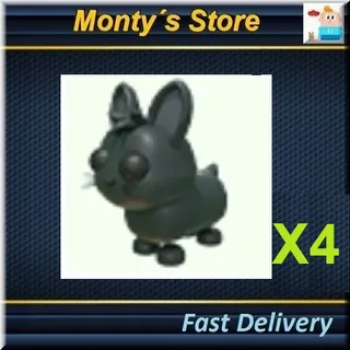 Amami Rabbit X4