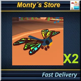 CLUBTAIL DRAGONFLY  X2