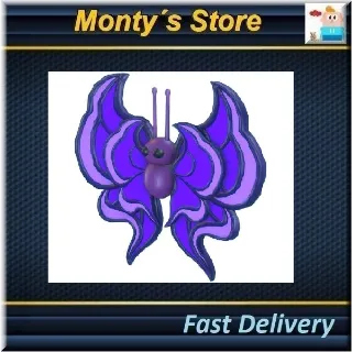 Violet Butterfly (Full Grown)