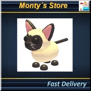 Siamese Cat (full Grown)