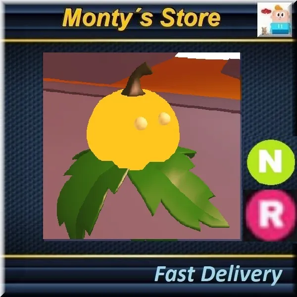 รายการภาพถ่าย