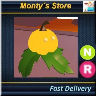 NR Pumpkin Friend