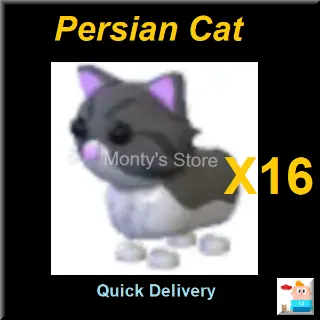 Pet | X16 Persian Cat