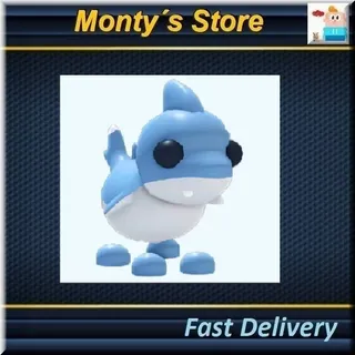 Shark Puppy