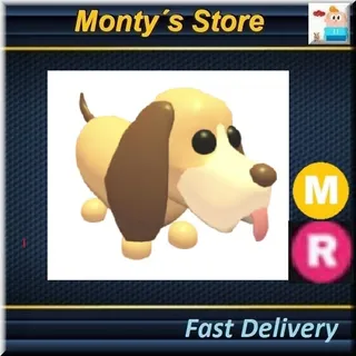  BloodHound MR