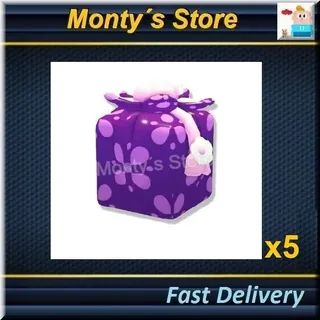Lunar new year gift box X5