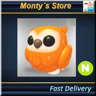 Neon Clementine Owl