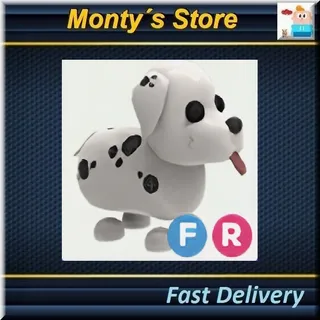 FR Dalmatian