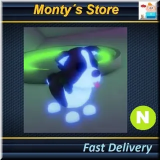 Neon Border Collie