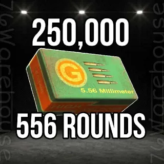 556 Rounds