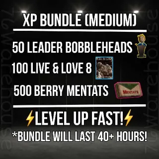 Aid | XP Bundle (Medium)