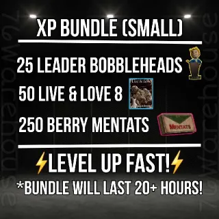 Aid | XP Bundle (Small)