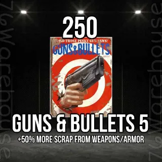 Guns Bullets 5