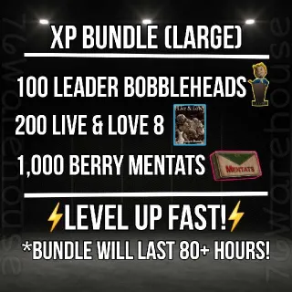 Aid | XP Bundle (L)