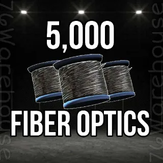 Fiber Optics