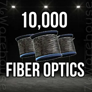 Fiber Optics