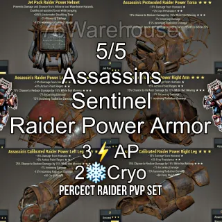 PSA Raider