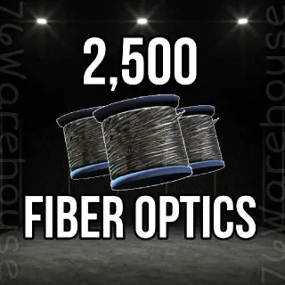 Fiber Optics