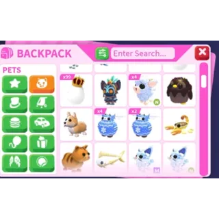 PET BUNDLE - SEE ALL PICS AND DESC