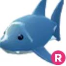 Shark R
