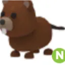 N Beaver