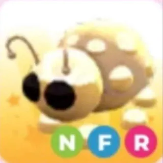 NFR Golden Ladybug