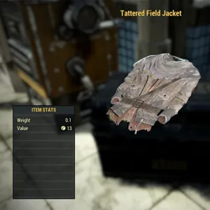 Tattered Field Jacket