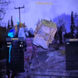 Traveling Leather Coat