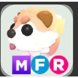 MEGA FR CRYPTID