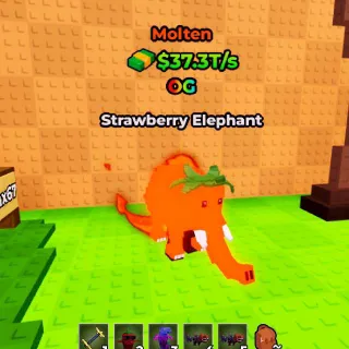 MOLTEN Strawberry Elephant 37.3T/s (Max Lvl) - Kick A Lucky Block