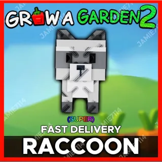 Raccoon