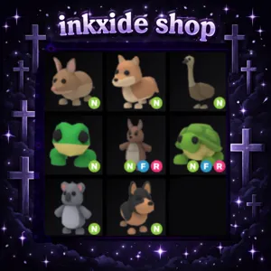 8x Aussie Egg Neon Pet