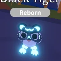 Neon Black Tiger