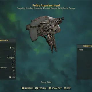 Polly’s head