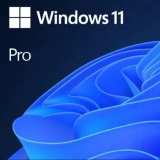 Windows 11 pro