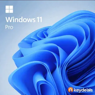Windows 11 pro