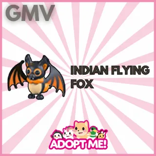 10x Indian Flying Fox