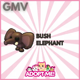 BUSH ELEPHANT