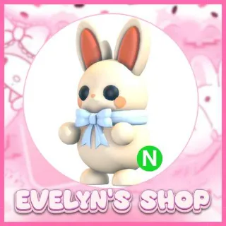 Neon White Choccybunny