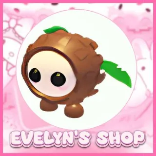 Coconut Friend Adopt Me