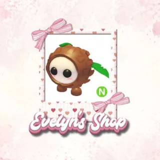 N Coconut Friend ADOPT ME