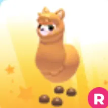 ride alpaca