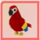 PARROT NO POT
