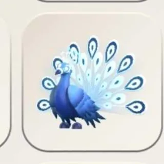 MOONBEAM PEACOCK