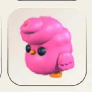 FR CANDYFLOSS CHICK