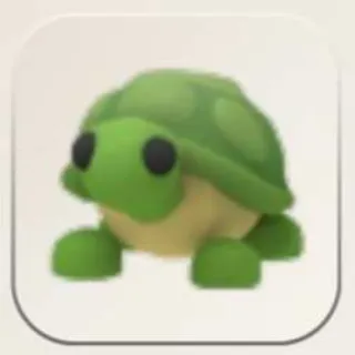 FR TURTLE