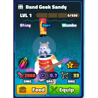 SW BAND GEEK SANDY 5 STAR