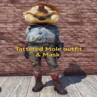 Tattered Mole Outfit & Mask